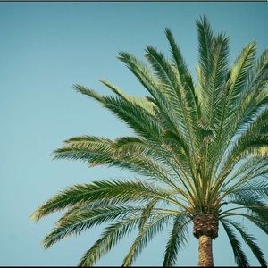 Meet your Posher, Gavin